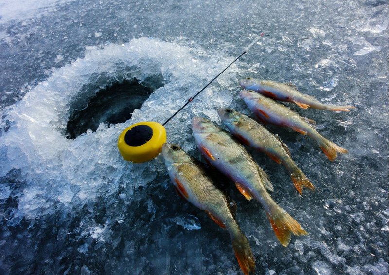 Best ice fishing game online in Germany